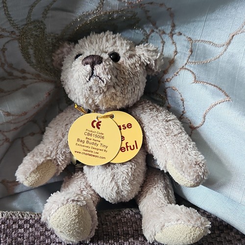Charlie bears bag buddy - charlie, tiny