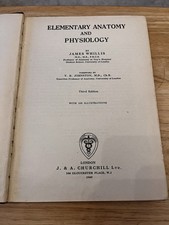 Augustus John Drawings