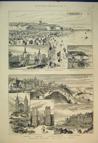 Old antique print 1885 - old,