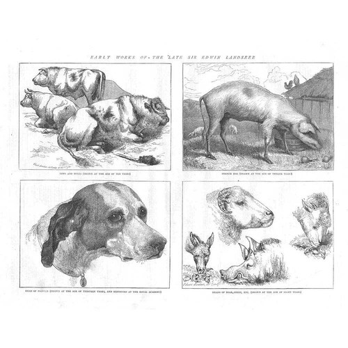 Sir edwin landseer early - sir,