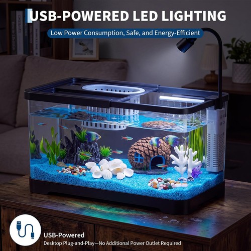 Aquarium starter kit - aquarium,