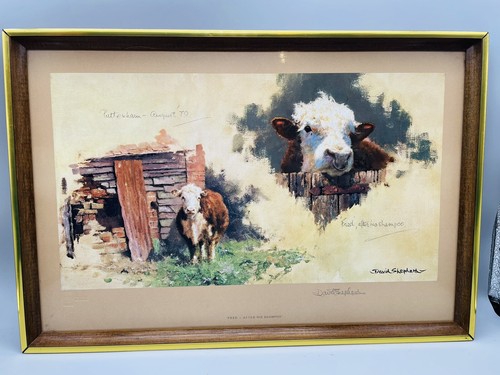 1979 david shepherd fred - david,