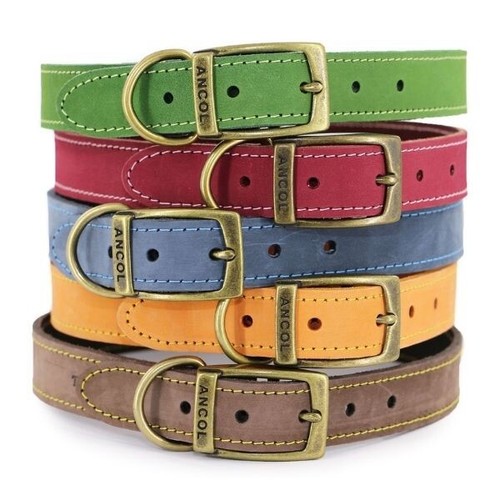 Ancol timberwolf leather dog - timberwolf,
