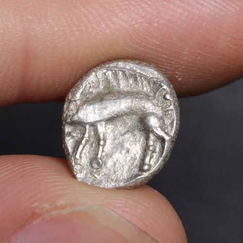 Ancient celtic horse - ancient,