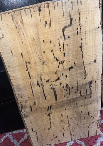 Pecky spalted beech 1038 - spalted,