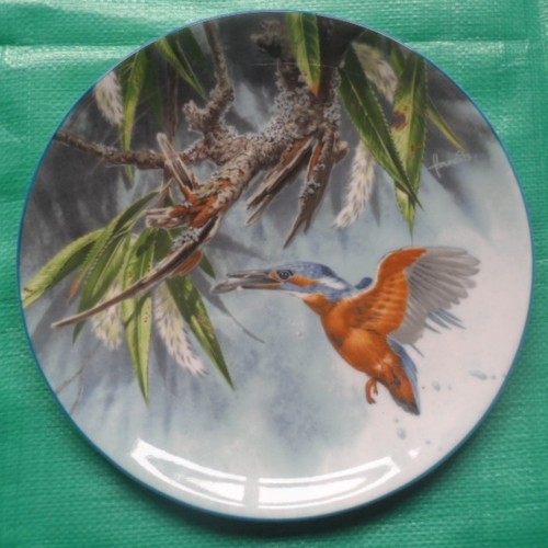 Wedgewood bone china plate - china,