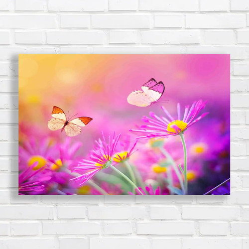 Beautiful butterfly and flower - butterfly,