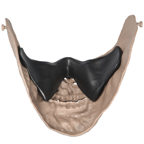 Army half face corpse - half-face,