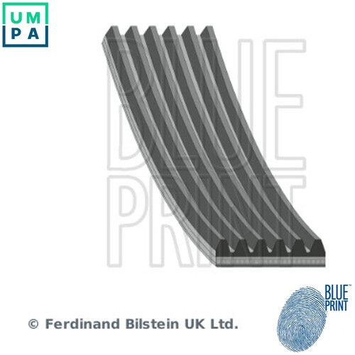 Vribbed belt ad06r2195 - belt, for