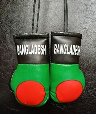 Bangladesh Flag Pair Of Mini