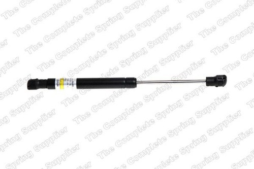 Lesjofors 8095802 bonnet gas - 8095802,