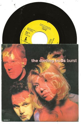The darling buds burst - the,