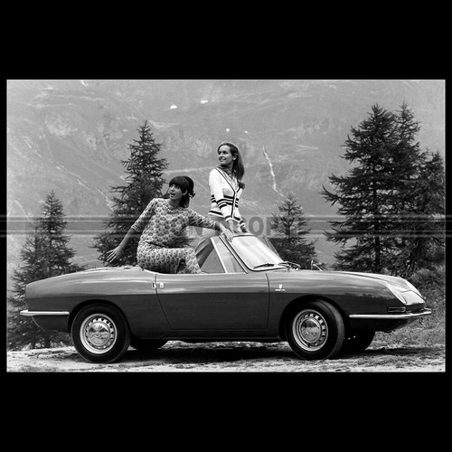 Photo 017744 fiat - photo, spider