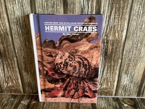 Land hermit crabs - land,