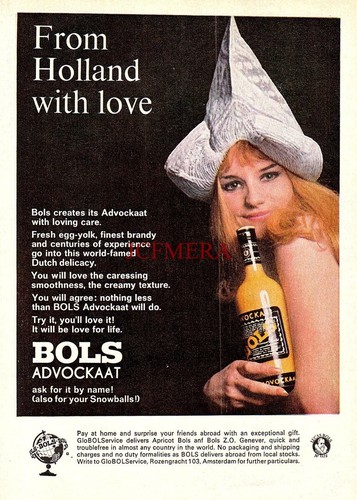 Bols advockaat liqueur - bols,