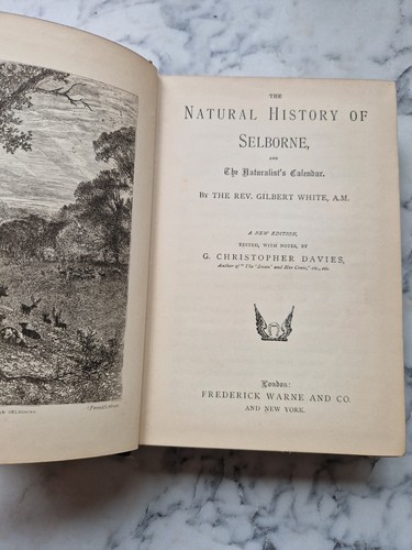 The natural - (19th,