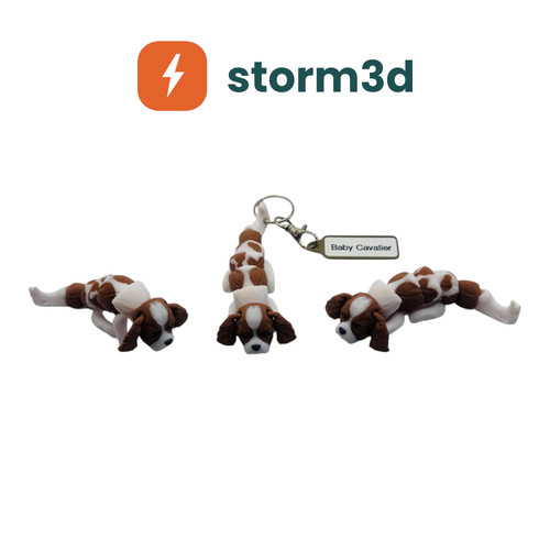 Pawfect pets baby cavalier - pawfect,
