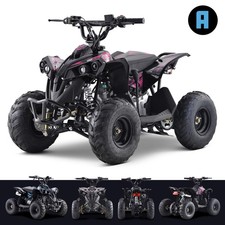 110cc Petrol Mini Quad Bike 4