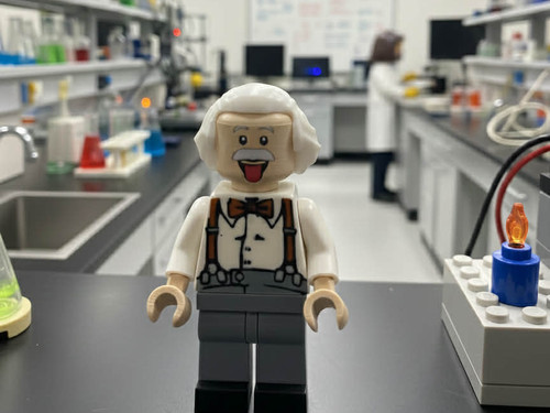 Alber einstein brick figure - einstein, xl