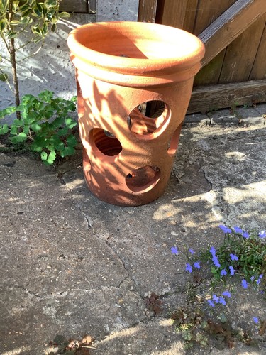 Terracotta strawberry herb - terracotta,