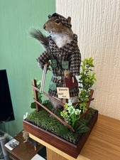 Taxidermy Gamekeeper Grey
