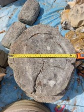 4 Log Effect Concrete Stepping Stones. Approx. 16" Dia