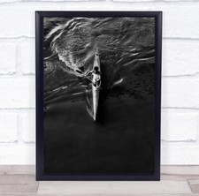 Champion paddle paddling - champion,