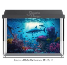 Sun Ray Shark Ocean Coral