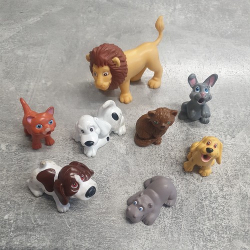Animal hospital location - location,