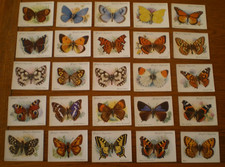 Full Set PLAYERS BRITISH