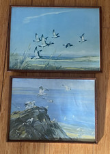Pair Of VERNON WARD Vintage Prints In c.1960s Original Frames