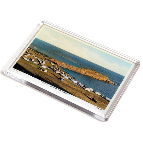 Jumbo magnet vintage devon - vintage,