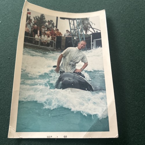 1968 picture rusty white - rusty,
