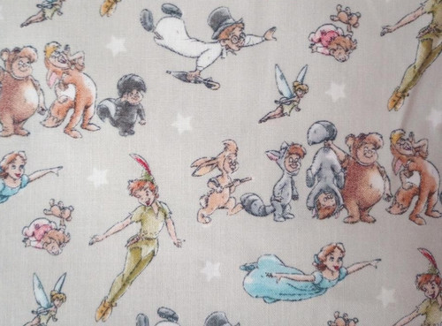 Disney peter pan - , fun
