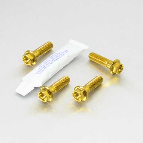 Front brake caliper - brake, bolts