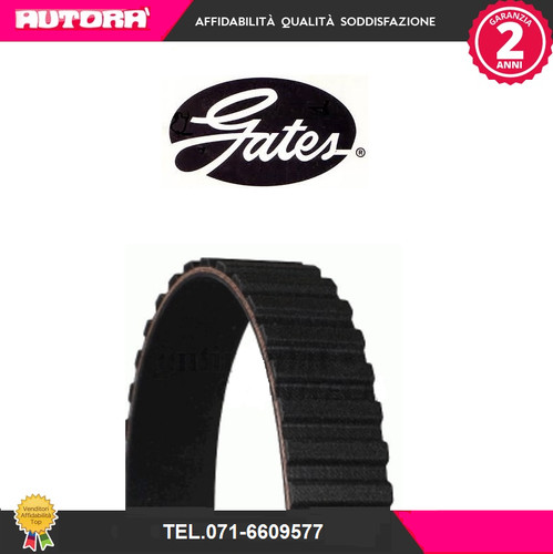 5193xs toothed belt - 5193xs,