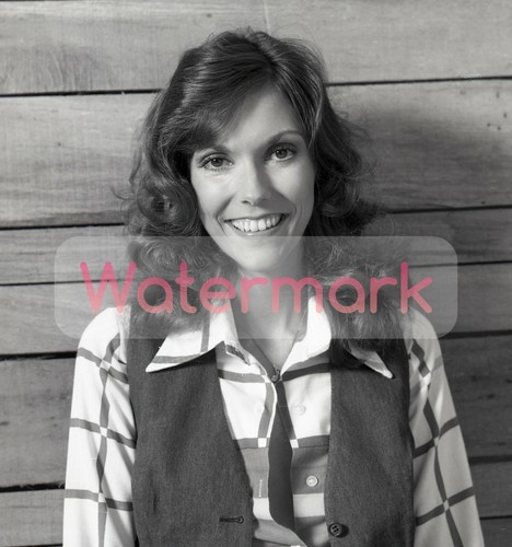 Karen the carpenters portrait - the,