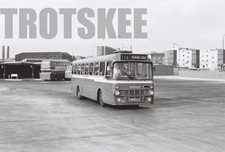 35mm Black and White Negative