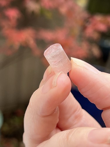Pink tourmaline rod terminated - pink,