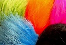 Premier Grade Long Finn Racoon