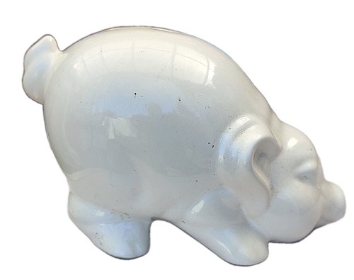 Crouching sniffing pig piggy - sniffing,