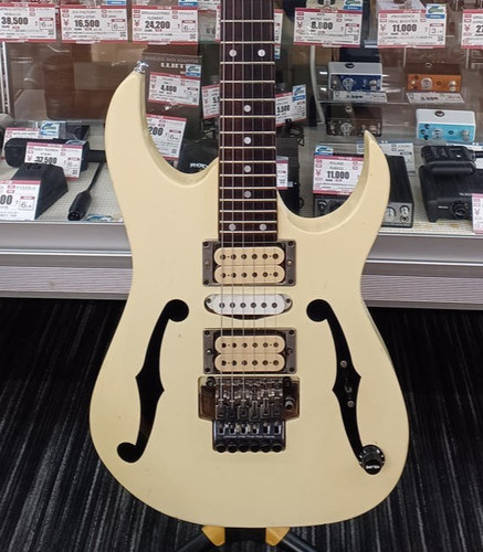 Ibanez type pgm 30 - rg, dinky
