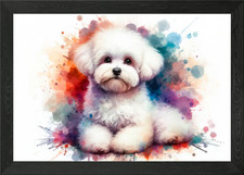Bichon Maltese dog in