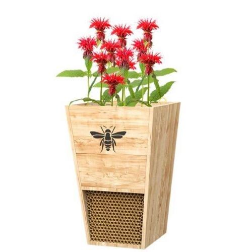 Mason bee house planter - mason,