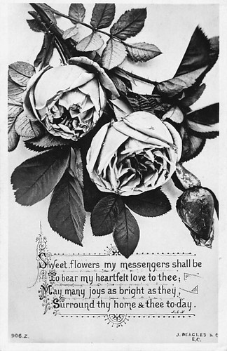 Family history postcard - family,
