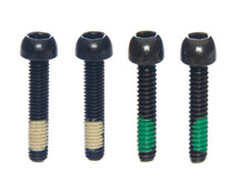 Hayes Caliper Mount Bolt