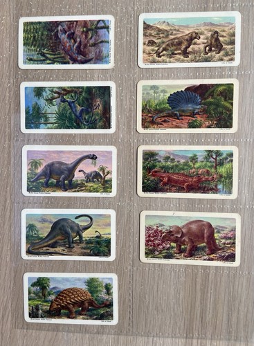 Brooke bond usa tea - 9/48,