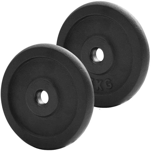 Pair iron weight plates - iron, for