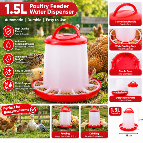 Chicken poultry feeders - chicken,