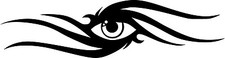 Tribal Eye Car Wing Mirror